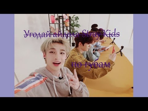Видео: Угадай айдола Stray Kids по губам||Normal ver.