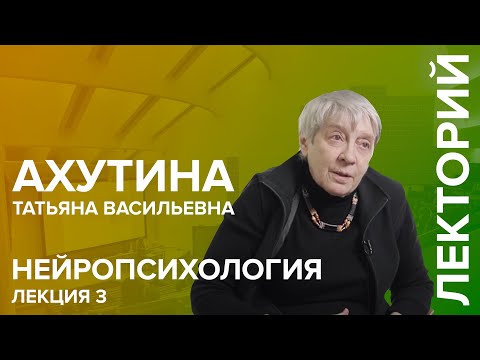 Видео: "Нейропсихология" лекция №3 Ахутиной Т.В.