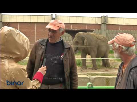 Видео: Работниците в зоопарка - Иван Иванов и Стефан Николов