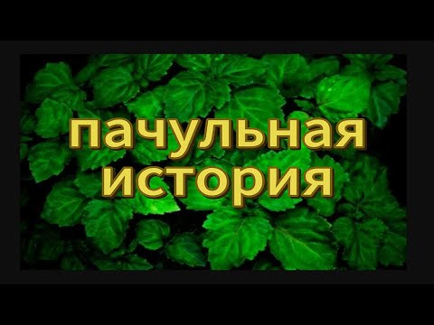 Видео: Пачули - ингредиент в парфюмерии. Эфирные масла и синтетические молекулы.