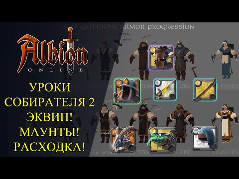 Видео: Albion online : ⛏ УРОКИ СОБИРАТЕЛЯ #2 - Экипировка, Маунты, Расходка - Как одевать собирателя ?