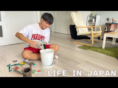Видео: [Влог] Работающий японец🇯🇵Я завел домашний сад!!