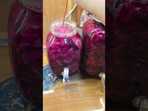 Видео: 24 октября 2025 г.