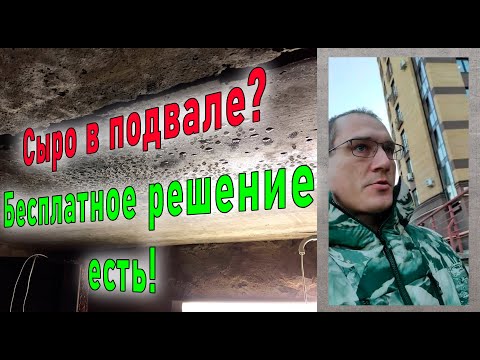 Видео: Проблемы подвалов: влажный воздух, конденсат на стенах - решение проблем | О нужности подвала