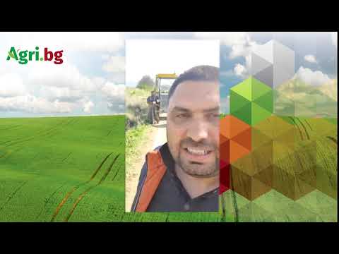 Видео: Емин Емин, производител на ягоди и малини: Елитните разсади се отплащат с добив