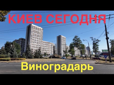 Видео: 06.09.2024, Подольский район, массив Виноградарь