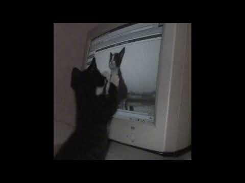 Видео: FREE* ПЛАТИНА + PLOHOYPAREN type beat - shlyha 