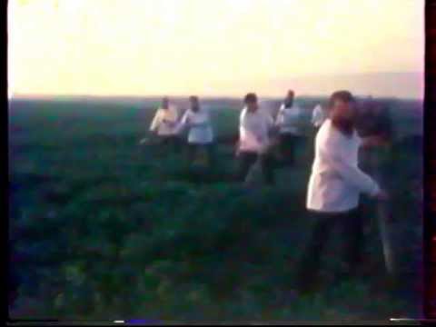 Видео: Обреди и песни в с. Татарица, Силистренско