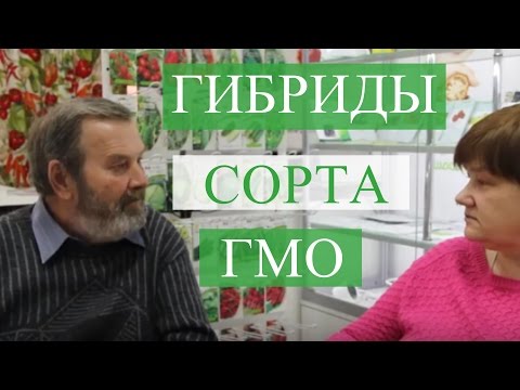 Видео: ГИБРИДЫ, СОРТА, ГМО. Беседа с агрономом.
