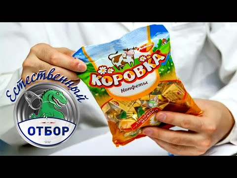 Видео: "Естественный отбор". Конфеты коровка