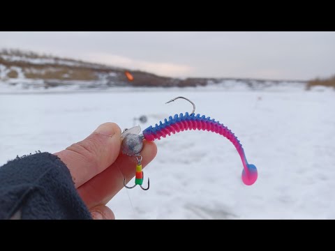 Видео: НЕ УСПЕЛ РАССТАВИТЬ, УЖЕ КЛЮЁТ! Рыбалка на жерлицы и силикон со льда в 2025