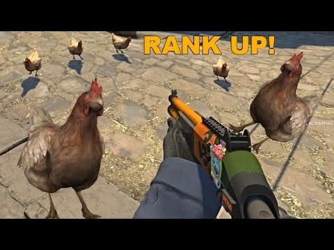 Видео: Армия от КОКОШКИ - CS GO Wingman #5