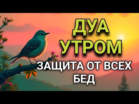Видео: ☝️💝 СИЛЬНЕЙШЕЕ ДУА УТРОМ ОТ ВСЕХ БЕД 🤲🌹🌈