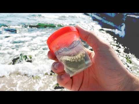 Видео: ЧТО МОЖНО УВИДЕТЬ В КАПЛЕ МОРЯ ПОД МИКРОСКОПОМ?  Я БЫЛ В ШОКЕ.