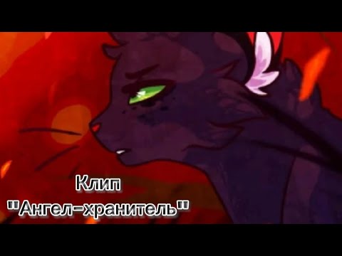 Видео: Коты-воители/Осьролистая/Клип/"Ангел-хранитель"/@я про рок