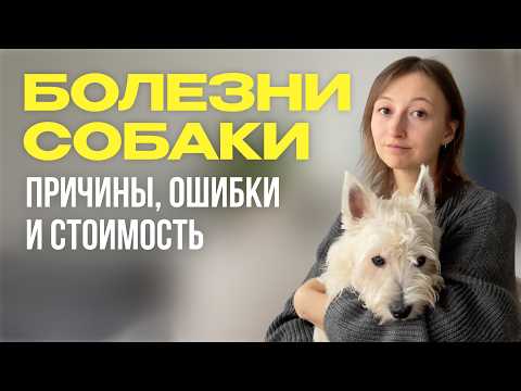 Видео: ЧЕМ БОЛЕЮТ СОБАКИ И СКОЛЬКО ЭТО СТОИТ | Мой опыт, ошибки и советы