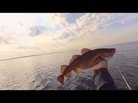 Видео: Рыбалка на треску в Балтийском море. ИДЕАЛЬНЫЙ ШТИЛЬ и солнечное небо!!!