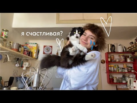 Видео: возвращение дашки: плачу от счастья, моя выставка и ностальгия