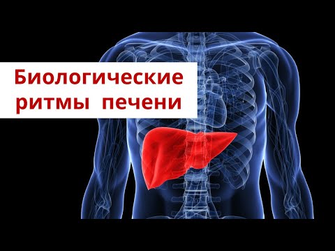 Видео: Очищение печени весной с помощью ГепаАрт.