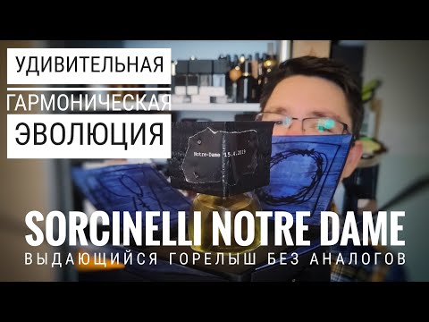 Видео: Самая удивительная метаморфоза и Notre Dame 15.4.2019 Filippo Sorcinelli