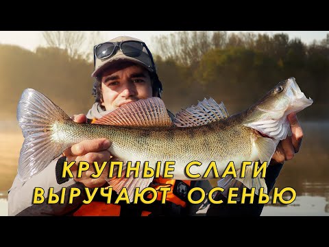 Видео: Правильная проводка крупного СЛАГА, БЕЗ эхолота! Рыбалка на спиннинг с каяка. 