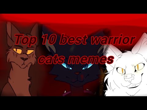 Видео: Top 10 the best warrior cats memes | Топ 10 лучших meme котов воителей