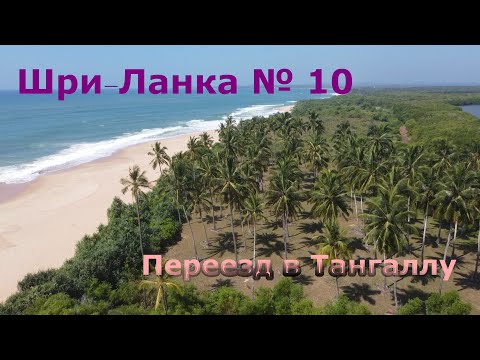 Видео: Шри-Ланка. Прогулка по джунглям Мириссы и переезд в Тангаллу. Tangalla beach.