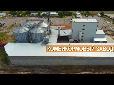 Видео: Чем кормить КРС и овец? Бизнес в Казахстане. Производство комбикормов для животных