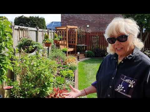 Видео: 528. МАМА УДИВЛЯЕТСЯ ИЛИ ЧТО НОВОГО В МОЕМ САДУ.