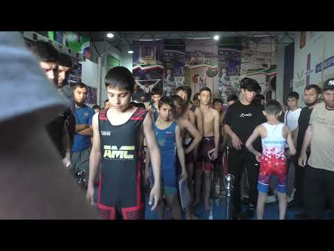 Видео: Взвешивание борцов на турнире Кингдом в Грозном.