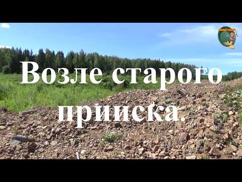 Видео: Поиск золота возле старого прииска.