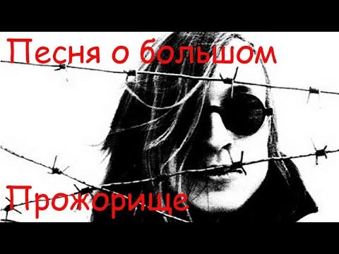 Видео: Егор Летов - Песня о большом Прожорище