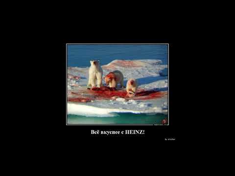 Видео: Когда жизнь подкидывает абсурдные ситуации | Демотиваторы ... 1