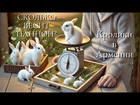 Видео: Сколько весит Паннон / 3 месяца / 4 месяца
