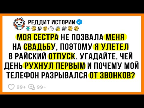 Видео: Моя Сестра НАМЕРЕННО не Пригласила Меня на СВАДЬБУ, но КАРМА Ударила в Ответ | РЕДДИТ ИСТОРИИ