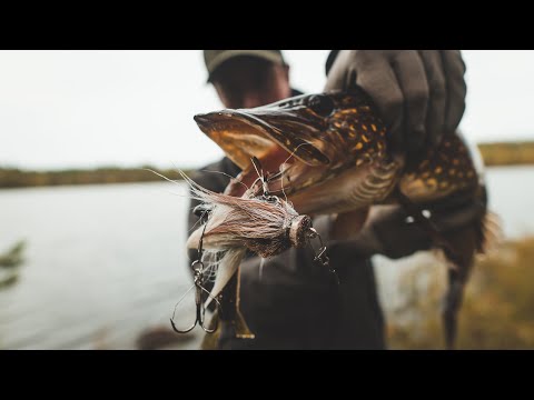 Видео: Уловистая МЫШЬ НА ЩУКУ. Miuras Mouse. 4 озера за день. По новым местам.