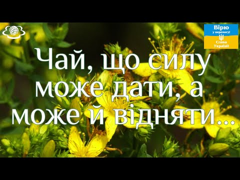 Видео: Чай, що силу може дати, а може й відняти