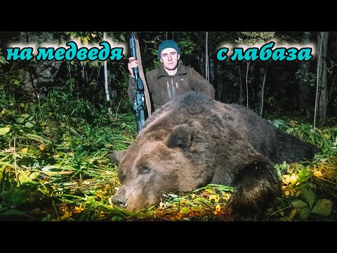 Видео: Охота на медведя на овсах с тепловизионным прицелом iRay Saim SCL 25W. Затерянные поля.