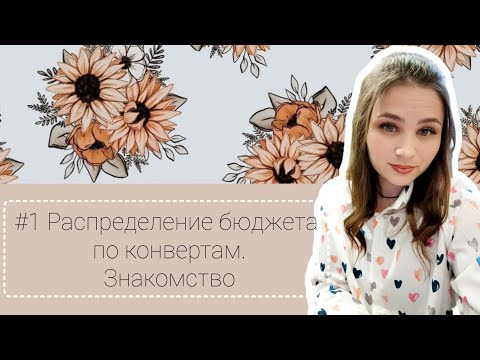 Видео: #1 Распределение бюджета по конвертам. Знакомство