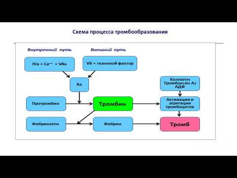 Видео: Острый коронарный синдром (часть 4): профилактика ретромбоза коронарной артерии (продолжение) 2024