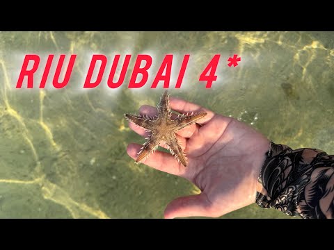 Видео: RIU DUBAI 4* ОТЛИЧНЫЙ ОТДЫХ в ДУБАЕ!❤️