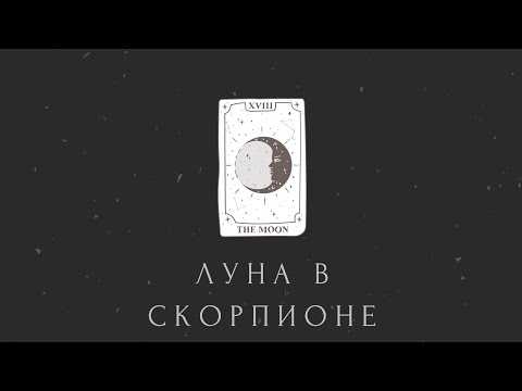 Видео: Луна в Скорпионе