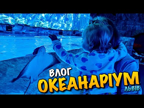 Видео: ОКЕАНАРІУМ ЛЬВІВ | КУДИ СХОДИТИ І НА ЩО ПОДИВИТИСЯ З ДИТИНОЮ У ЛЬВОВІ | ВИРОЩУЄМ TROPICAL EGG | VLOG