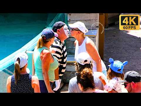 Видео: Мим Том — мастер смешить людей 😎😂🤣 #tomthemime #seaworldmime