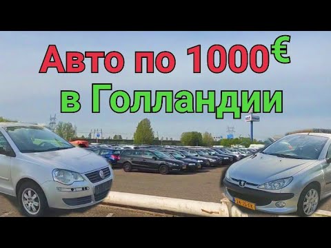 Видео: Авто по 1000€ в Голландии под бесплатную растаможку. Роттердам, Нидерланды.