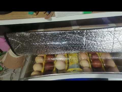 Видео: Китайский инкубатор, что надо сделать чтобы он работал