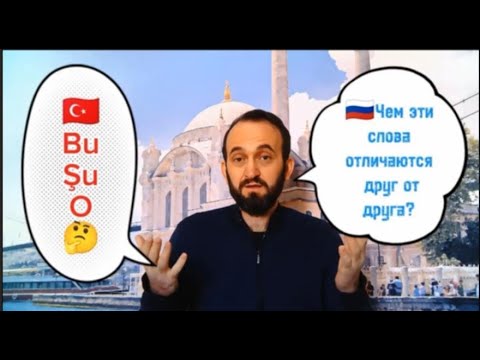 Видео: Курс A.1.2 Указательные местоимения/прилагательные