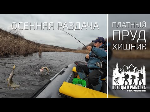 Видео: Раздача в ноябре