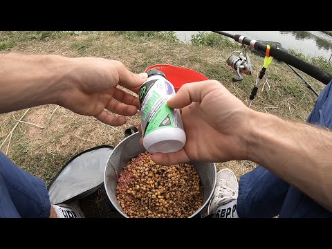 Видео: В такую погоду КАРАСЬ дуреет от такой прикормки