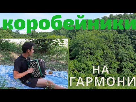 Видео: Песня "Коробейники" на ГАРМОНИ / в лесу